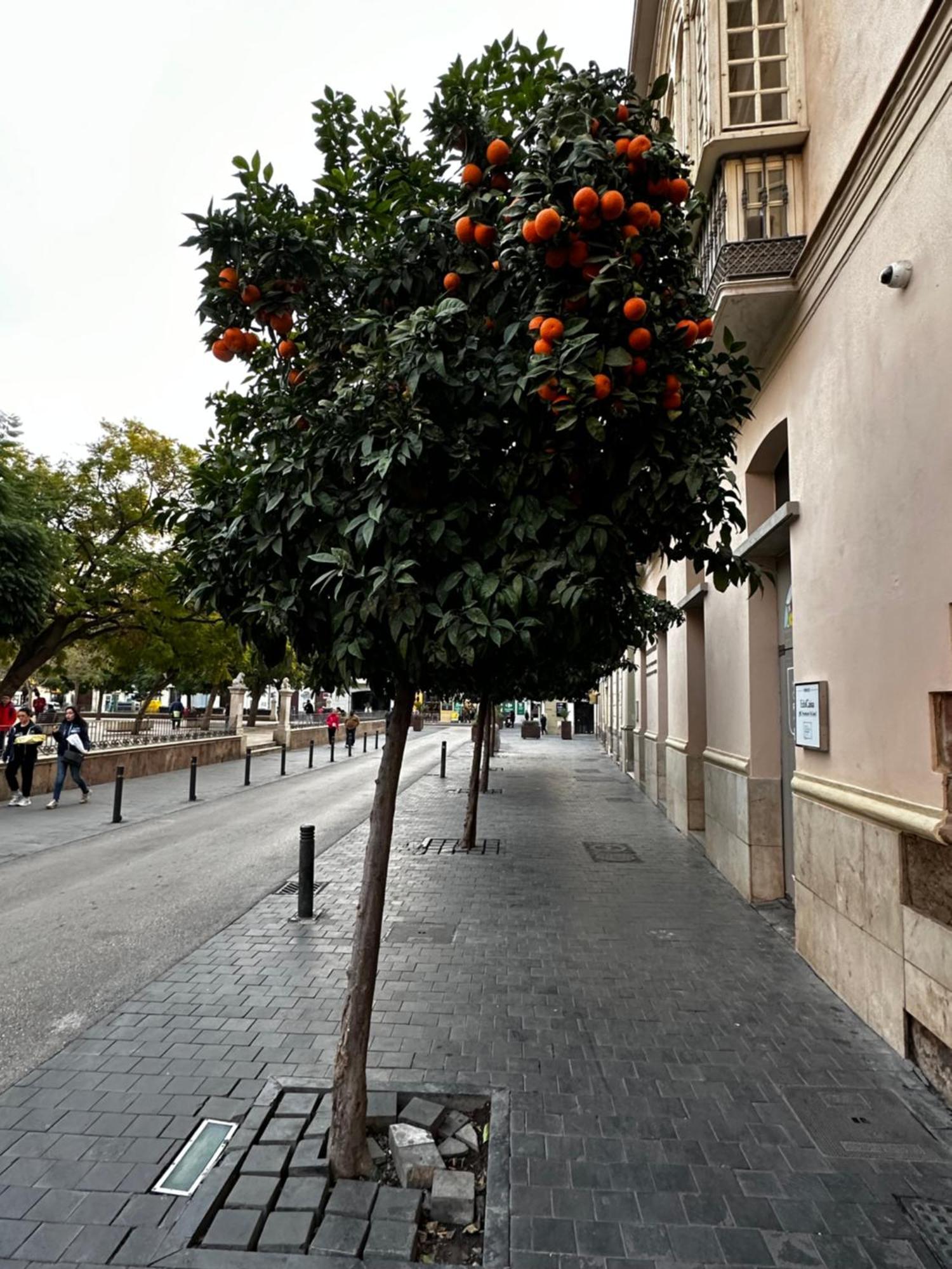 Malaga'S Secret Apartment Ngoại thất bức ảnh
